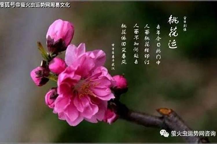 端午节趣味活动有哪些