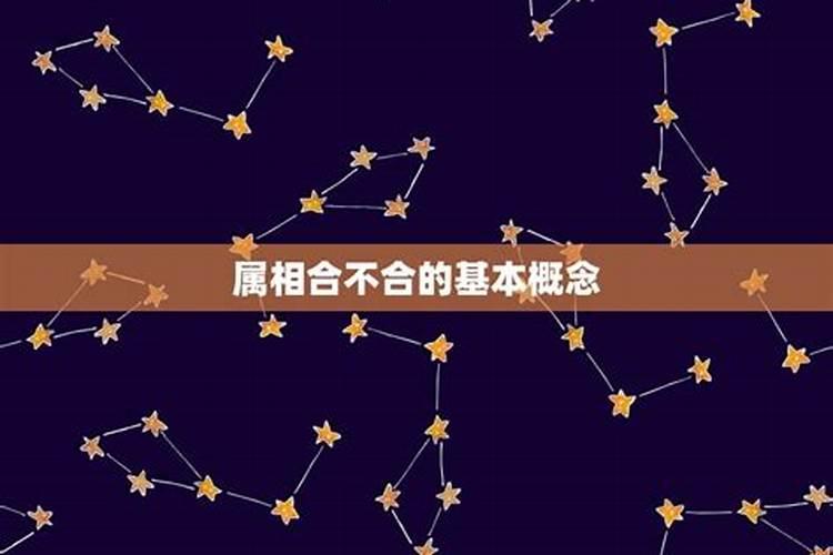 姻缘算命:属兔的女人与属蛇男做夫妻好吗 能合得来吗