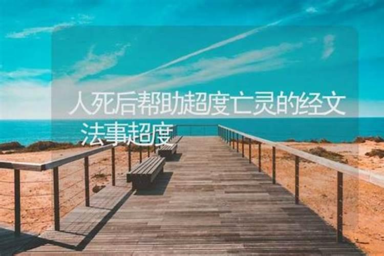 猪狗属相是不是相合
