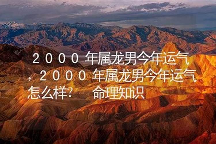 农历八二年正月初二是什么星座？
