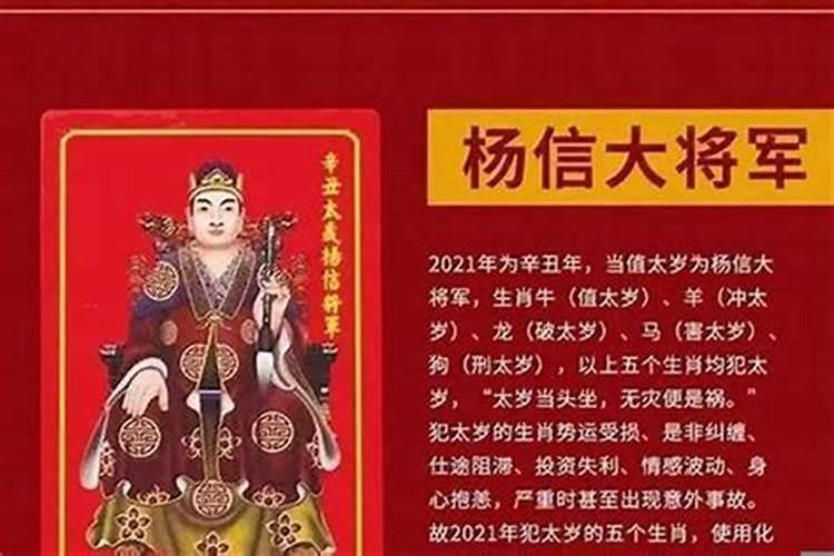 梦见属兔的人