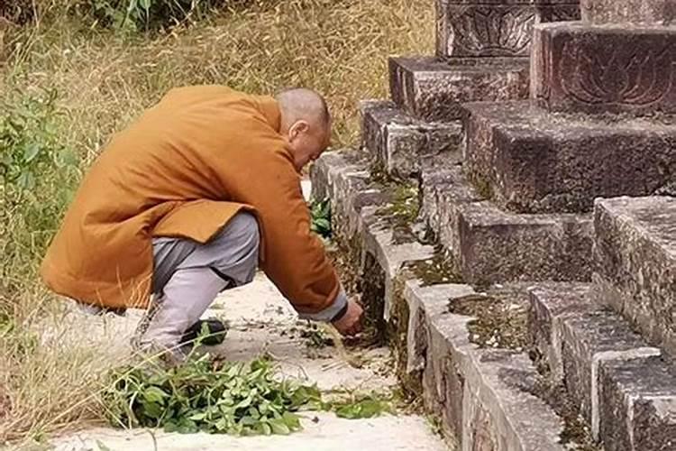 梦见与老板吵架并辞职