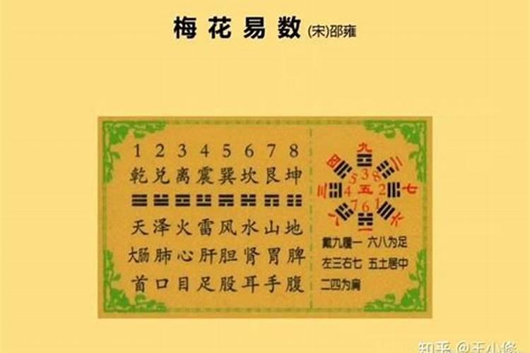 梅花易数推算八字可以吗？ 我的生辰八字是公历1990.1.6.寅时.男性。请教...