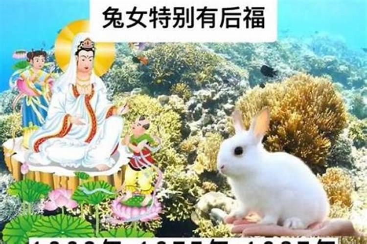 梦见有人喜欢我追求我的预兆