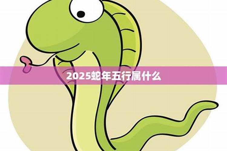 属马人2025年全年运势运程