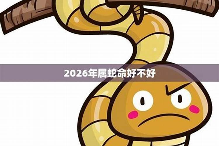 65年蛇2025年每月运势