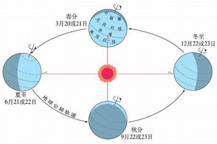 生肖牛2025年运势及运程如何