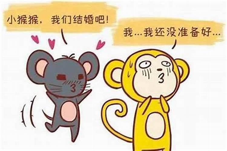 属相婚配:男属马和女属猴相配吗