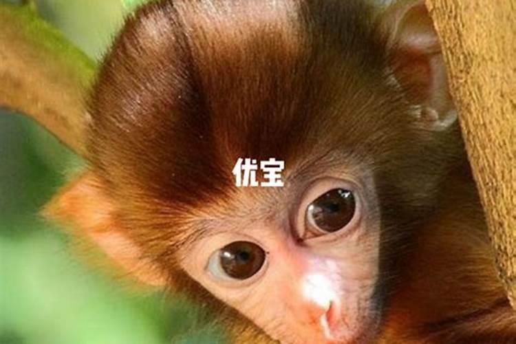 梦见水库往外放水的预兆