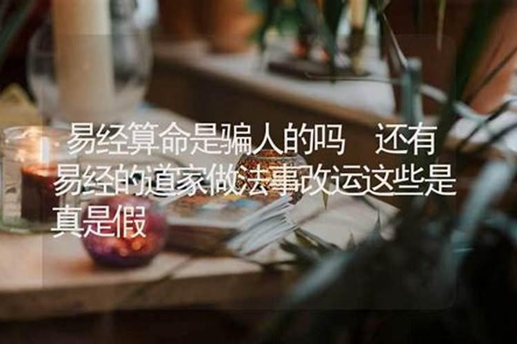 真童子的人生最后结局