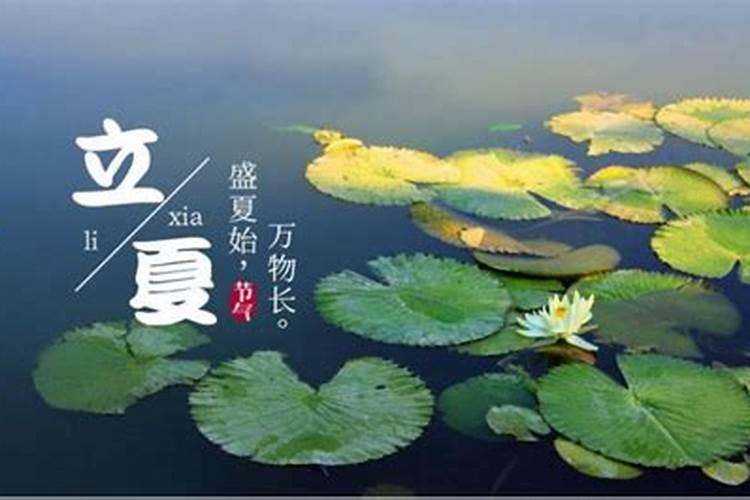 生肖羊2025年运势 属羊2025年运势及运程