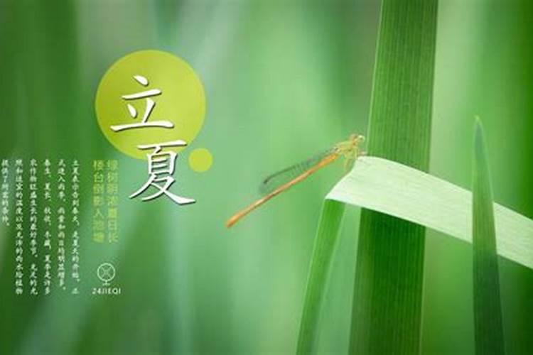 本命年犯太岁什么意思 本命年需要破太岁吗