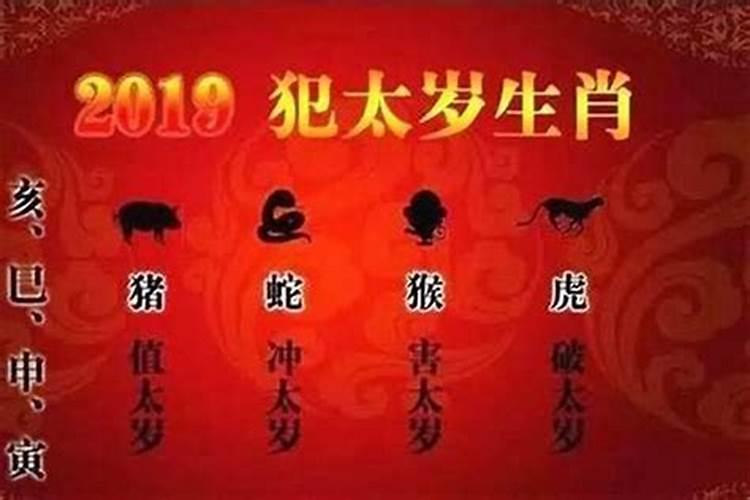 虎年犯太岁生肖是什么？
