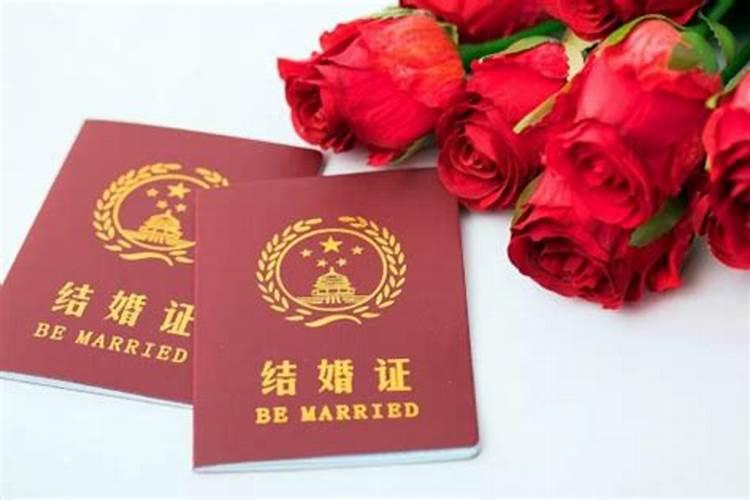 属牛和属鼠合不合