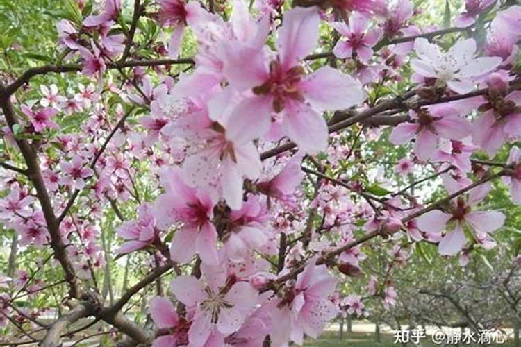 生活中的传统文化