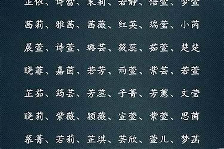 取名不带辈可以吗