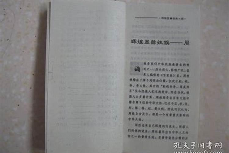 女孩子不安辈分取名字可以吗？