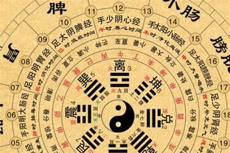 生肖猪1995年2025年运势如何 生肖猪1995年2025年全年运势