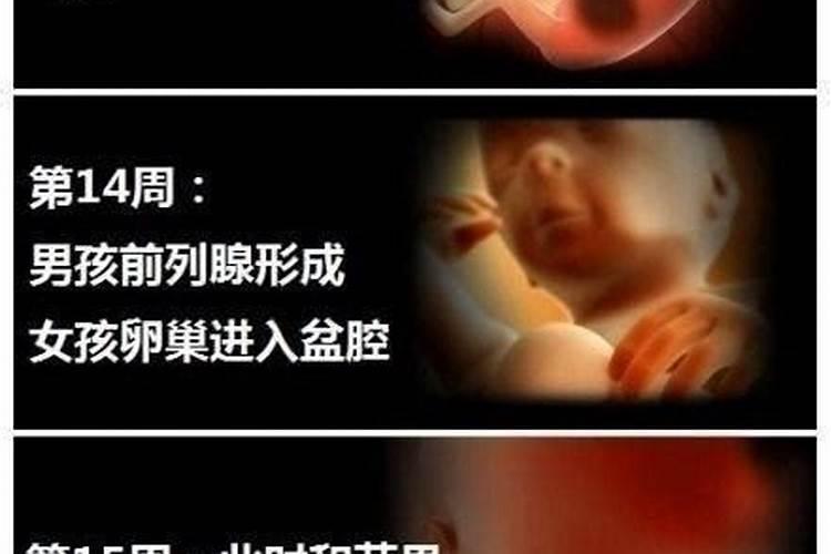 适合清明节发朋友圈的句子