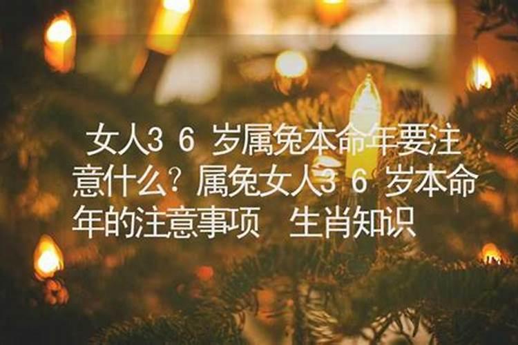 属虎2025年运势及运程每月运程