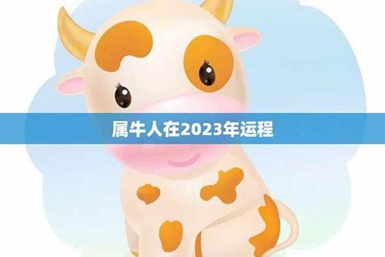 艾菲尔 十二生肖冬至节气运势分析12.2112.27