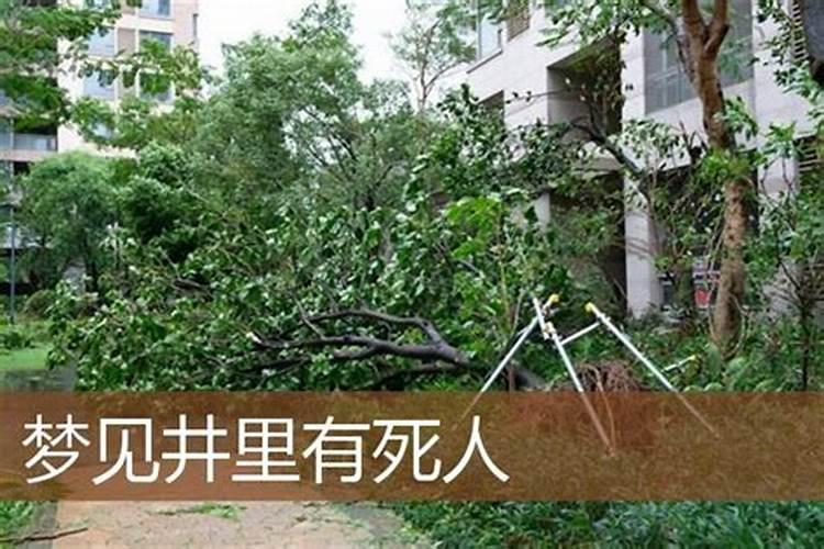 62年属虎女今年每月运势