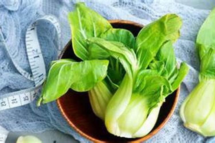 广东一年四季分别应该种植什么蔬菜？