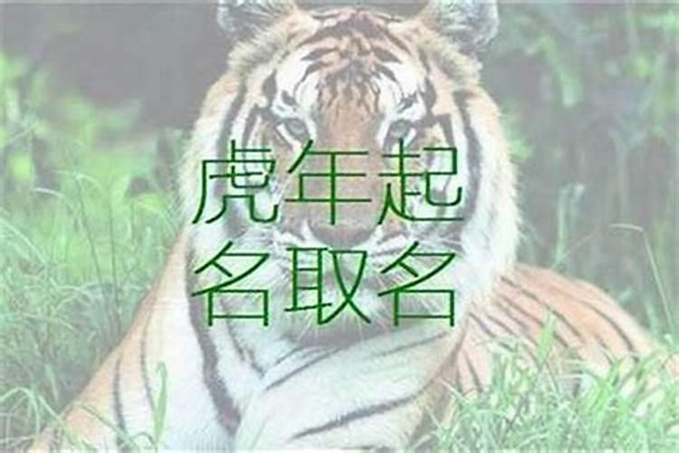 取名,查询五行,虎年正月十五早上12:45生的男孩
