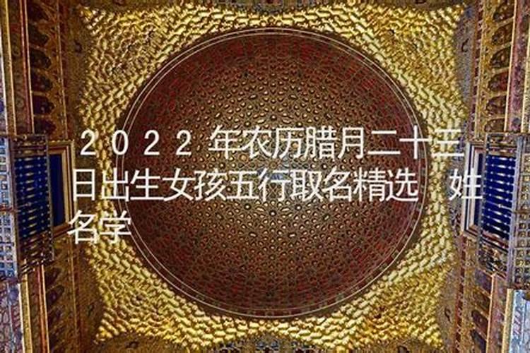 2025年上海灯会有几处
