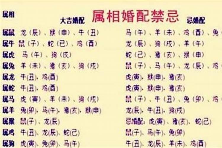 梦见狮子进家