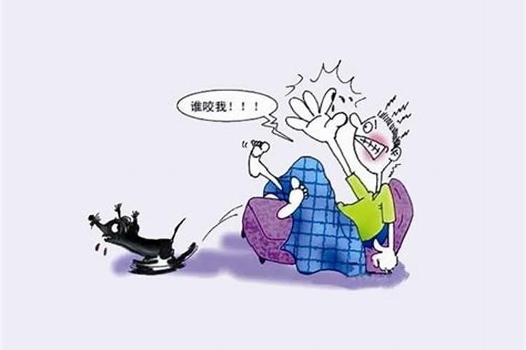 我和老婆离婚4年多了,老婆想给我合婚。我该怎么办？