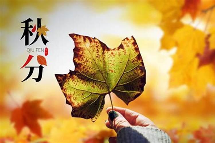 秋分节气的六大习俗活动