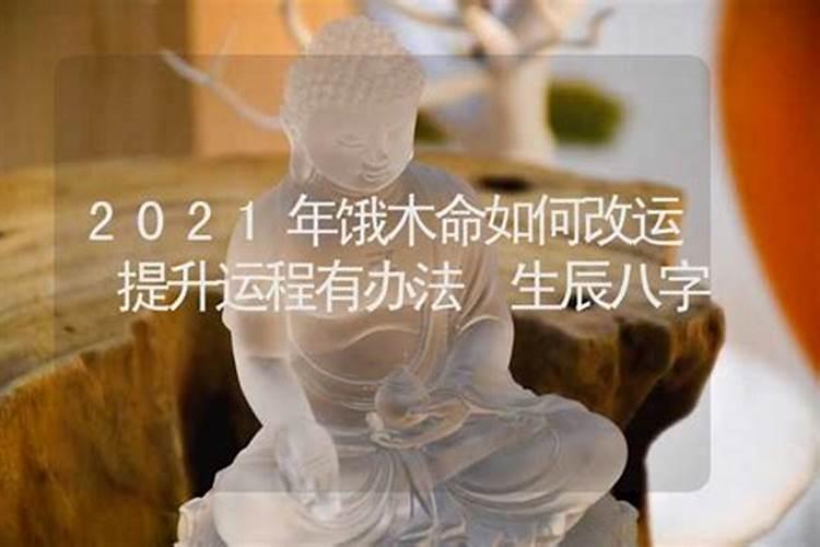 饿木命人2015年运程如何