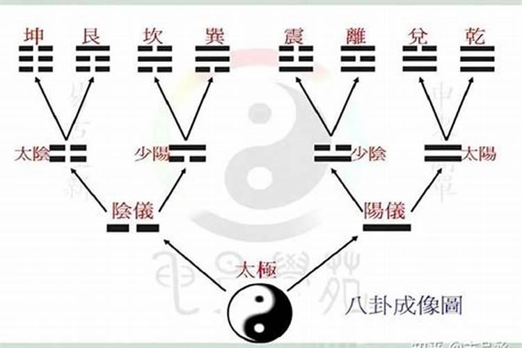 属兔人的运势:属兔人的前途事业、情感婚姻