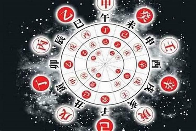 和冬至有关的生肖