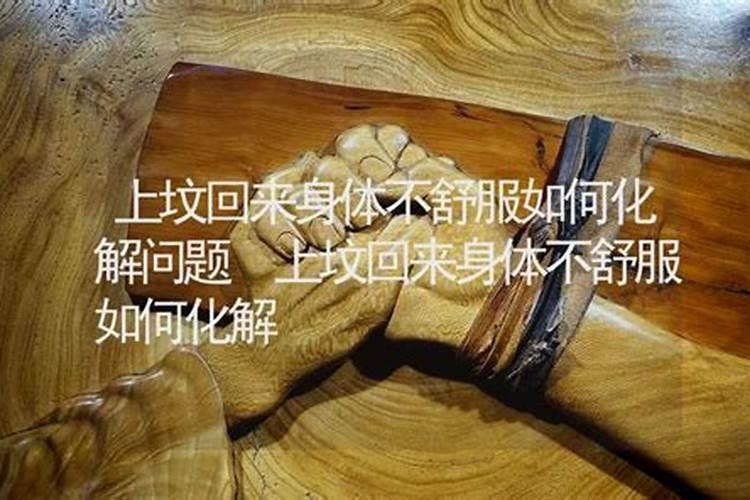 2025年82年狗女的全年运势如何