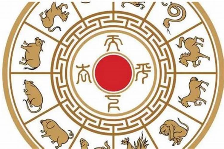 婚配五行和属相哪个准