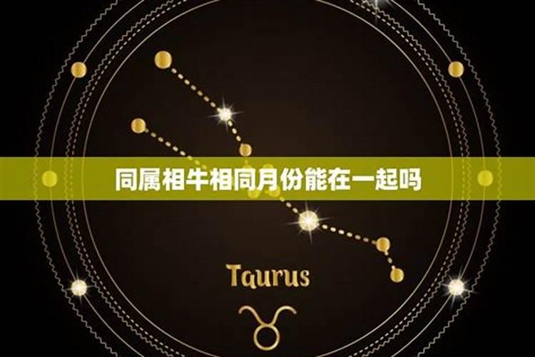 同属相的人结婚好吗夫妻同一个生肖好不好