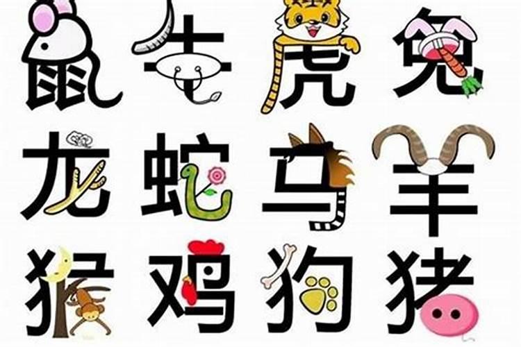 同一个属相婚姻好z好,两个属相相同的人结婚能幸福吗？