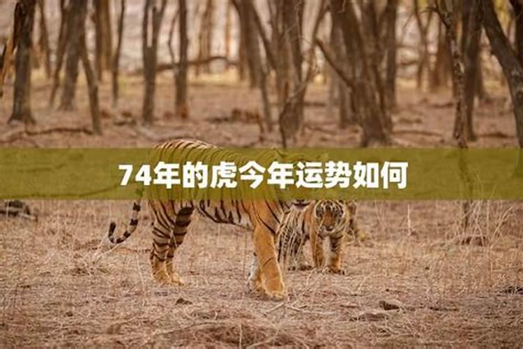 89年女属蛇和93年男属鸡适合结婚吗