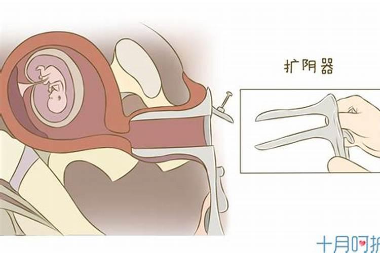 老法师开示堕胎解决办法