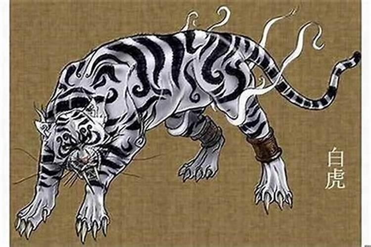 属虎刑太岁什么意思？属虎刑太岁怎么化解