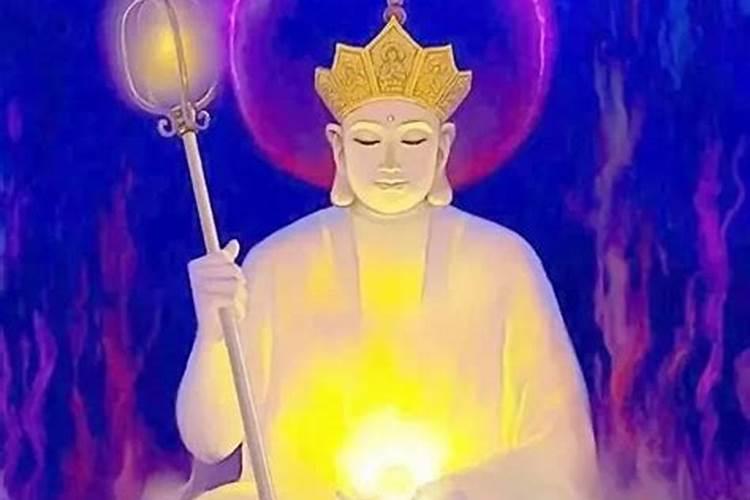 属猪人的本命年如何
