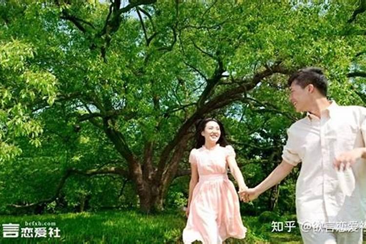 梦见老虎和豹子还有点狮子的预兆