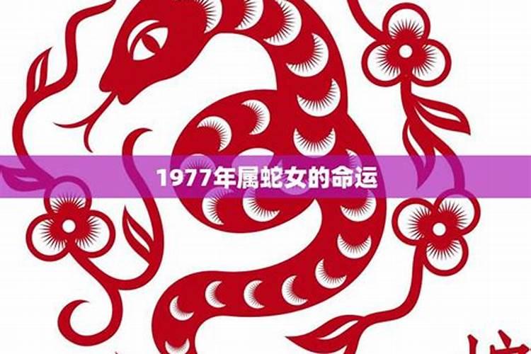 77年女蛇2024年运势及运程每月运程