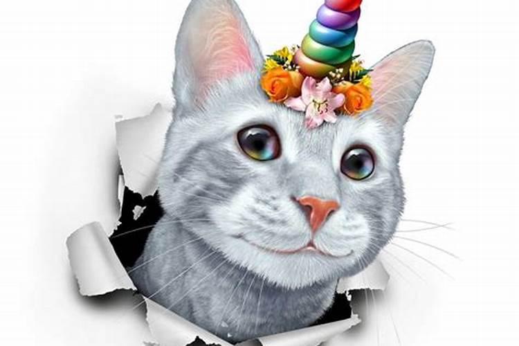 梦见猫抓老鼠是什么征兆