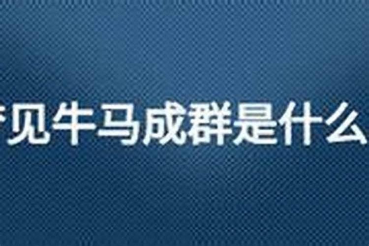 生肖牛2025年运势及运程如何