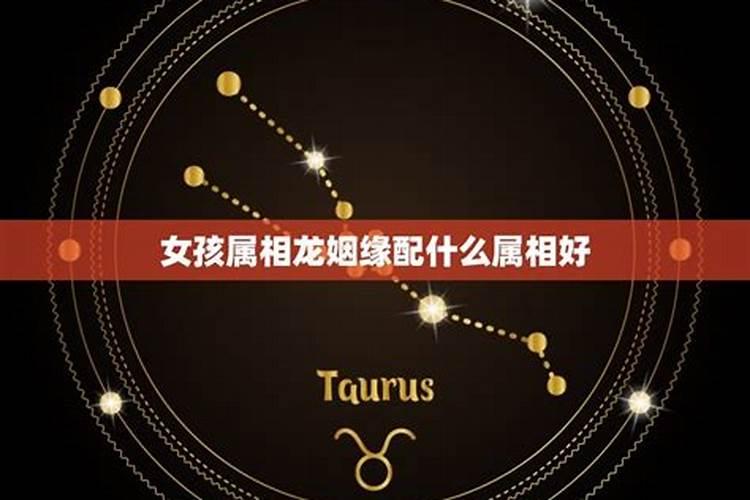 属龙女最佳婚配属相