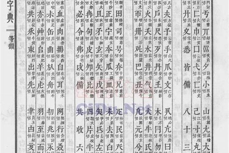 重阳节有哪三个风俗