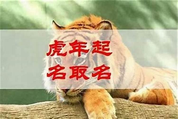 梦见蛇咬自己把蛇打死是什么意思？